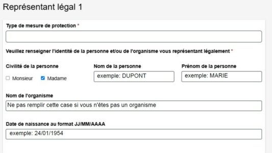 Capture d'écran d'une étape du téléservice Ma MDPH en Ligne